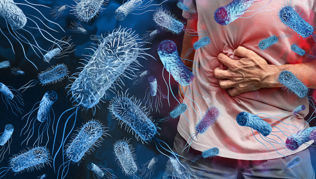 Salmonella