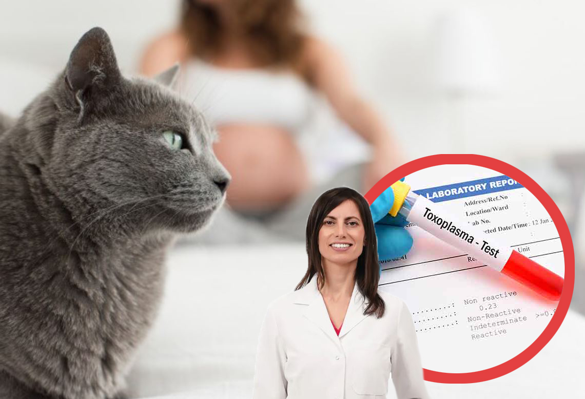 Toxoplasmosi in gravidanza