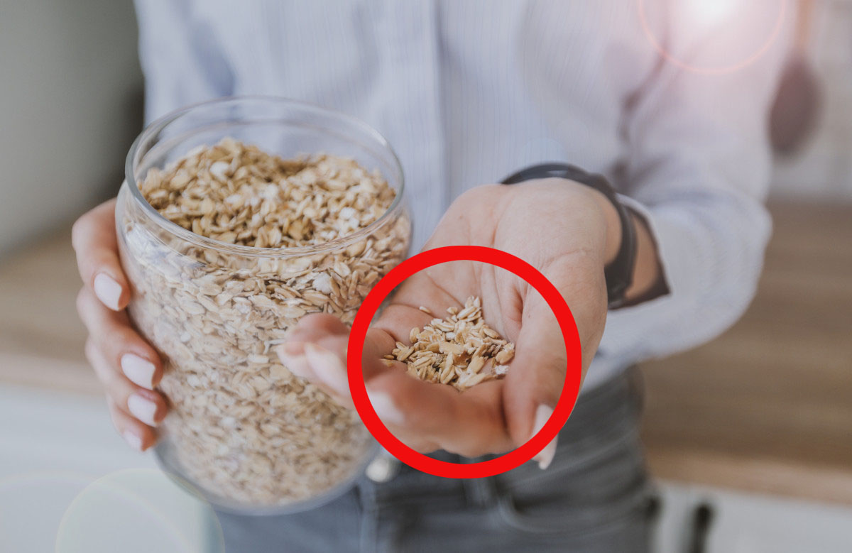 Avena
